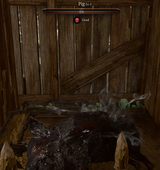 dead swine