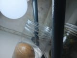 IMG-20250625-WA0007