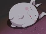 forever sleep