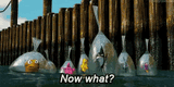 fish-now