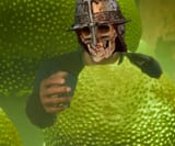 1743930308900370