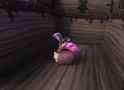 time_thumb.jpg