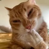 hehehehe