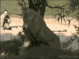 1742251620332851