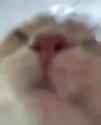 1634705610004_thumb.jpg