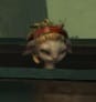 rat