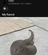 1726750414023642