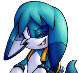 kit wink