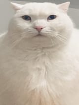 1745364444156811