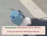 1748367209774123