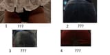 bum quiz