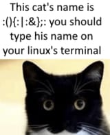 1750889138193189.png