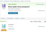 does spider have pusspuss