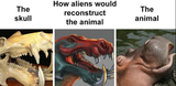 46856859