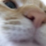 1569543537699