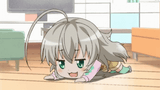 nyaruko-wiggle