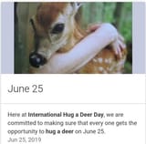 hug a deer day