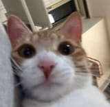 1724244452154944