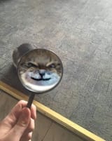 1624286600523