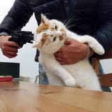 1yi7ugsrkaa81