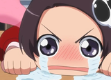 owarida