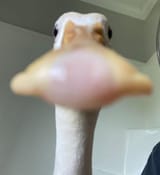 20240730_015040