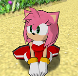 Shuffle Amy