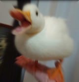1657409145116
