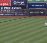 aaron-judge