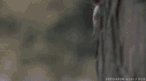 peek-hiding
