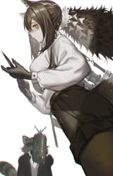 robin 86 - Copy