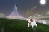 3829584-Jack-Russell-Terrier-puppy-on-grass-Stock-Photo [sound=https%3A%2F%2Ffiles.catbox.moe%2F6h0ldz.mp3]