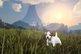 3829584-Jack-Russell-Terrier-puppy-on-grass-Stock-Photo [sound=https%3A%2F%2Ffiles.catbox.moe%2F1gtltg.mp3]