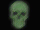 4d.skull
