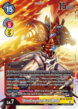 BT13-020[1]
