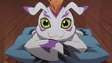 cute-and-playful-gomamon-from-digimon-adventure-p1aw3czvfxvvjd00[1]