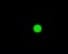 Green pixel