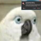 1698718425510