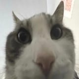 1697436594287