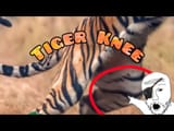tk