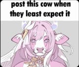 FB_IMG_1739164014352