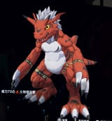 65673534