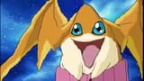 laugh_pata