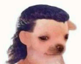 8484
