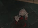 ffxiv_dx11_2025-05-16_09-31-32