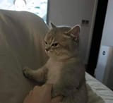 1723376019338143