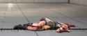 1700518581516395 cammy defeated_thumb.jpg