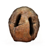 ER_Icon_Tool_Prattling_Pate_Apologies