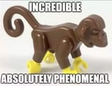monkey43026