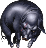 SH_Katakirauwa